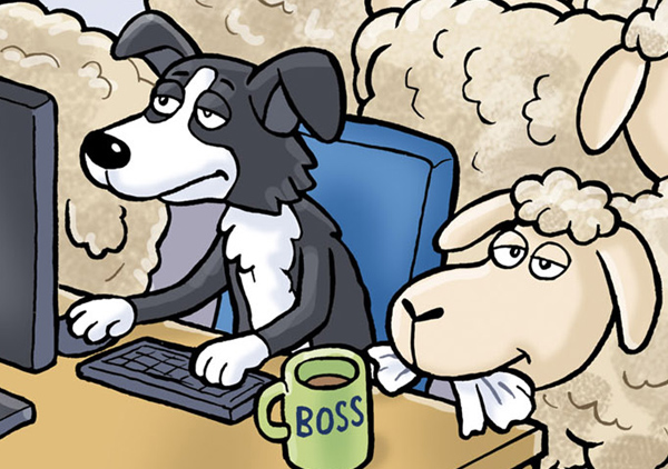 Cartoon Portfolio